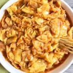Instant Pot Tomato Cabbage Stew Recipe